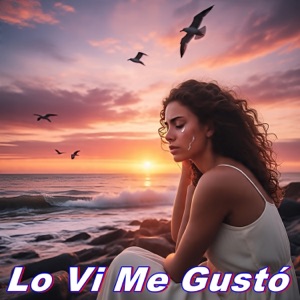 Lo Ví Me Gustó - Single