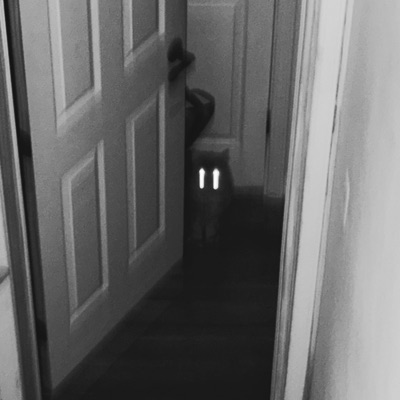 Middle (Tyrone's Wand) (feat. Hwk Jnes) - Single