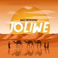 Toliwe - Willz Mr Nyopole
