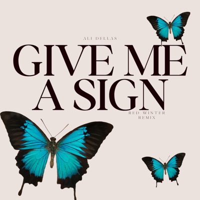 give me a sign (Red Winter Remix) - Single