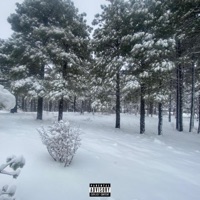 DICIEMBRE 2 - EP - ixn