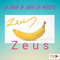 La legge di causa ed affetto - Zeus