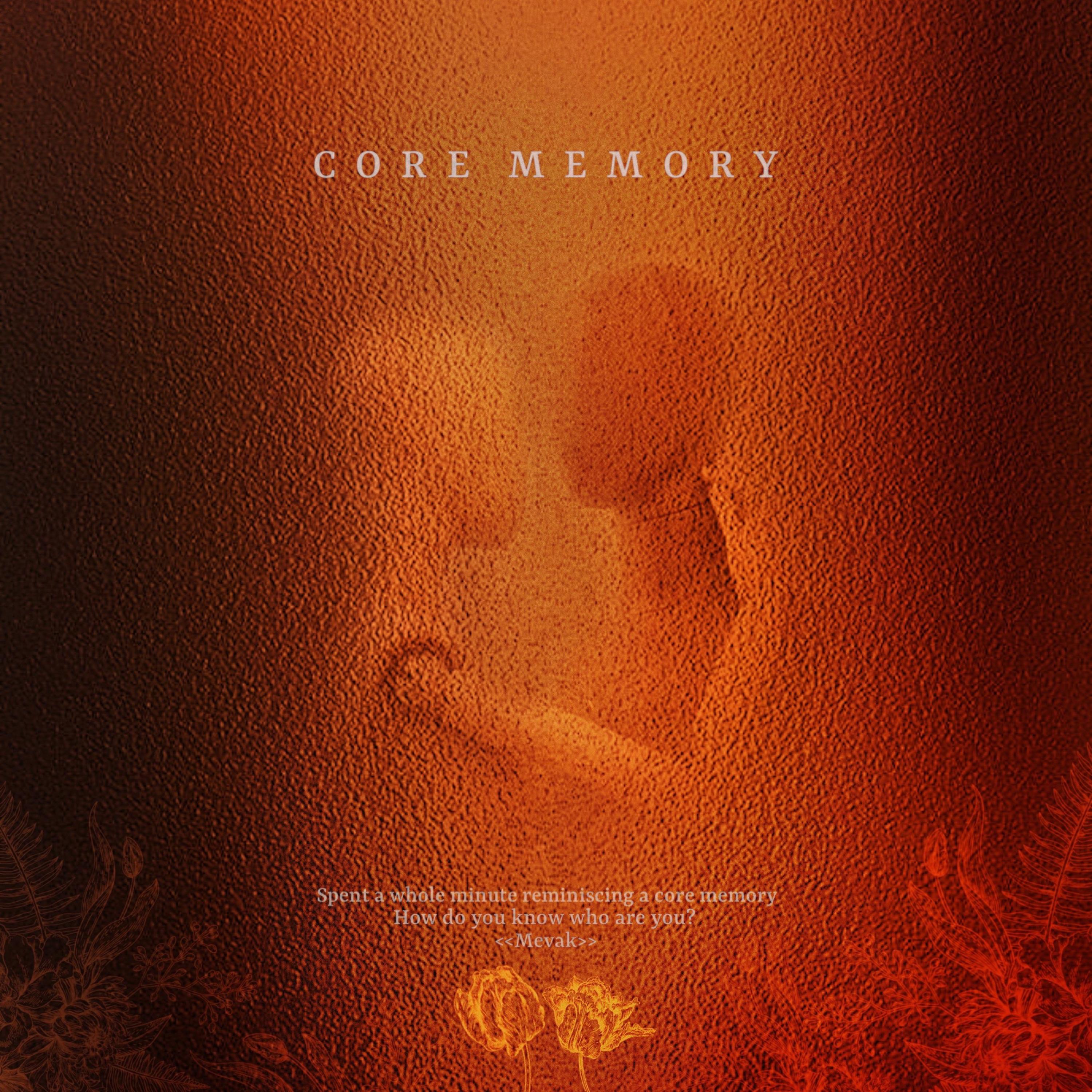 Core Memory - Single