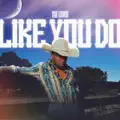Like You Do