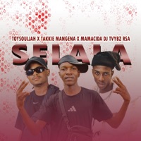 Selala (feat. Mamacida, Takkie Mangena & Djtvybz RSA) - Single - Toy Souljah