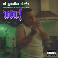 WOW - Single - El Gallo Rich