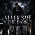 Never Saw The Dark