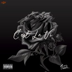 C'est La Vi - Single