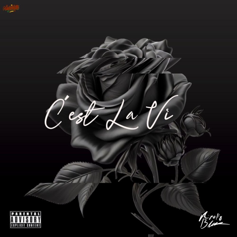 C'est La Vi - Single
