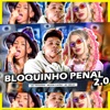 Bloquinho Penal 2.0 - Mudo no Paredão - Single