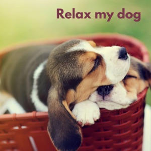 Dog Chill (Loopable, No Fade)