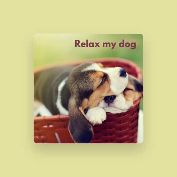 Music For Dog Relaxation's avatar
