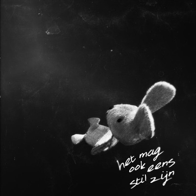 het mag ook eens stil zijn (feat. Ares) - Single