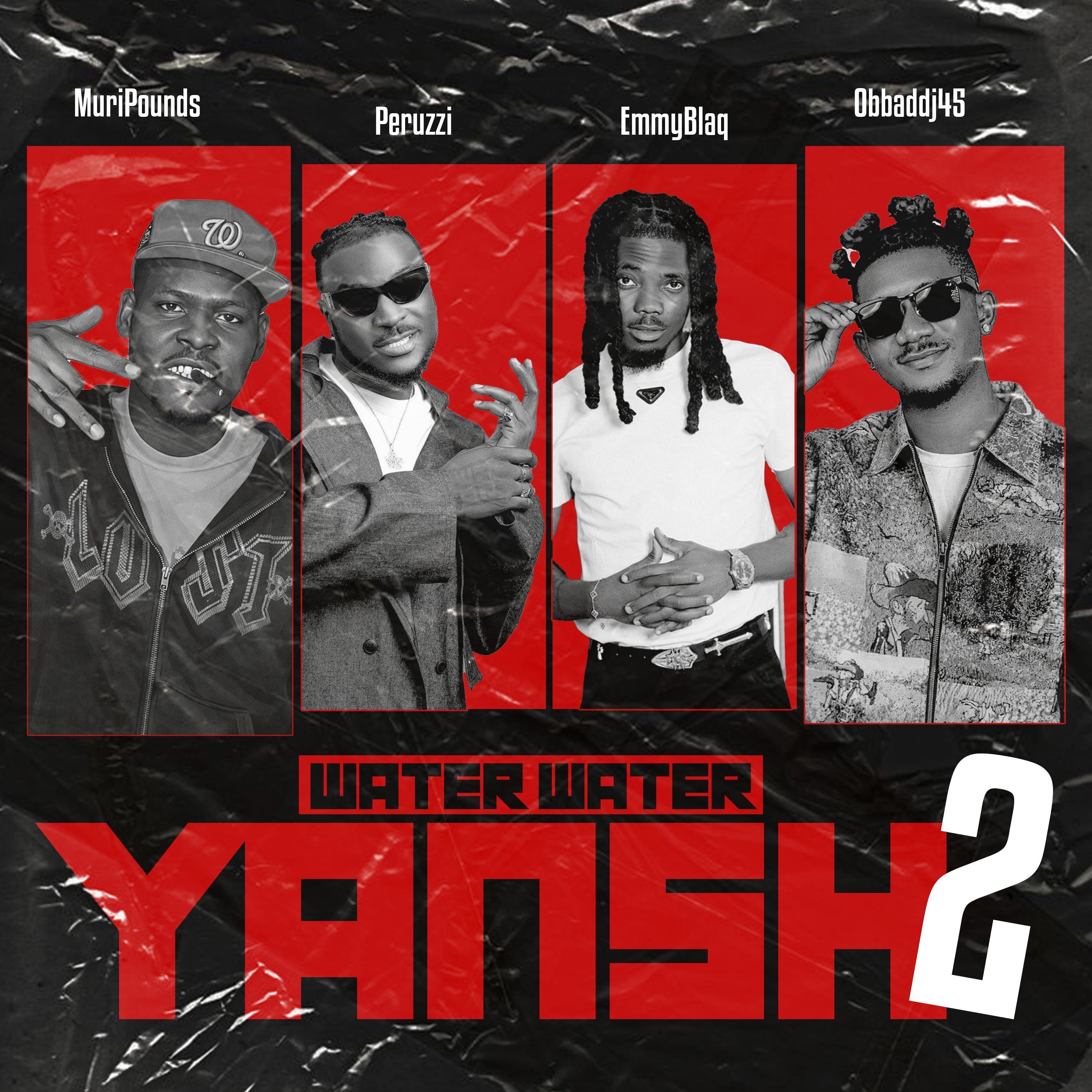 Water water yansh 2 (feat. Peruzzi) - Single