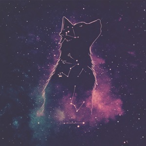 Dog Music Special