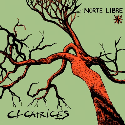 Cicatrices