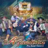 Os 4 Gaudérios - Profissão de Gaiteiro