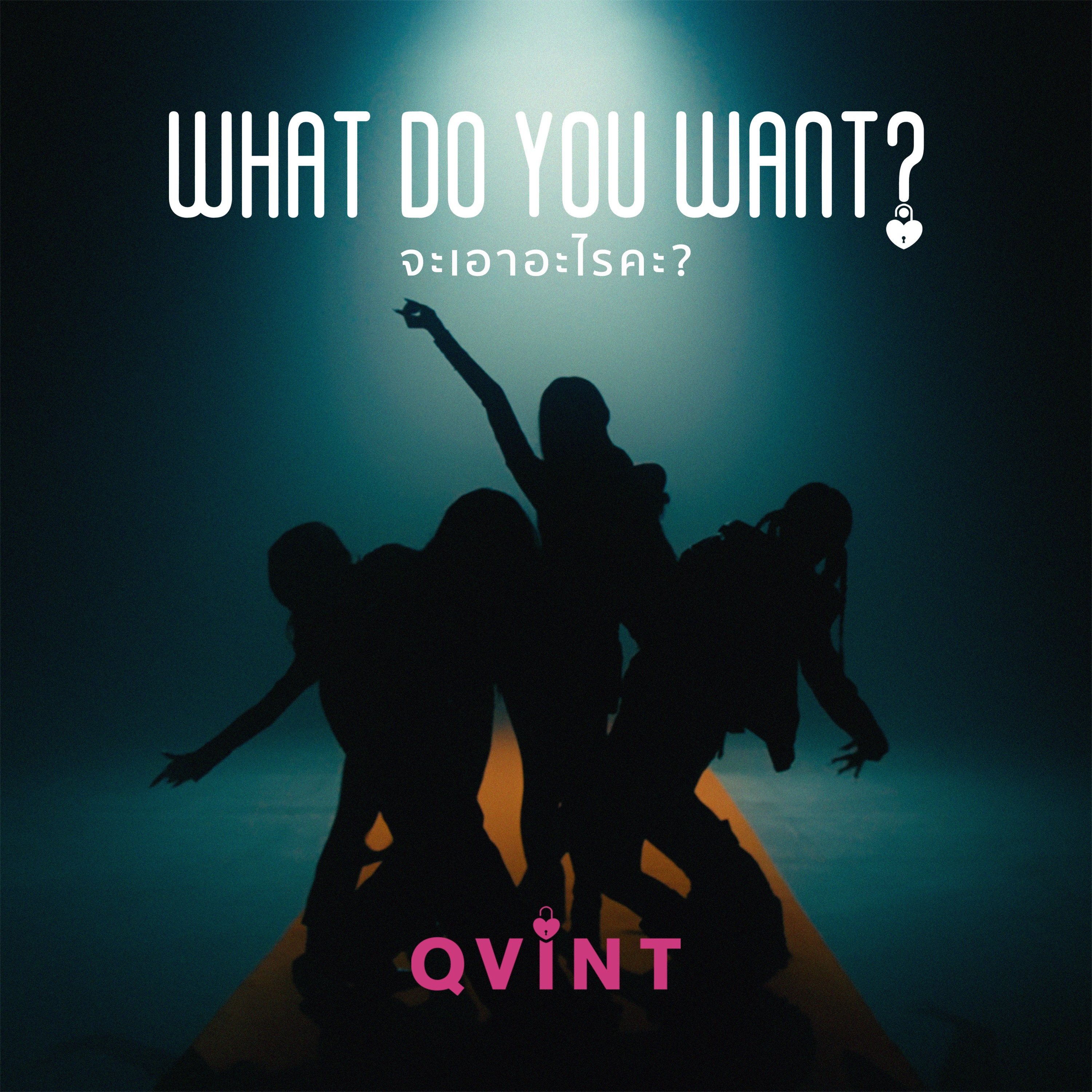 QVINT - What Do You Want?