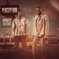 Perception - Single - Niphkeys & Nektunez