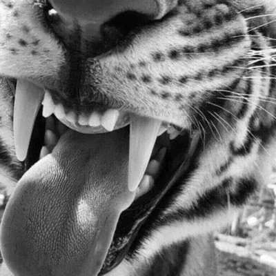 nbyzo - Man Don't Give Up