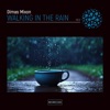 Walking in the Rain - Single