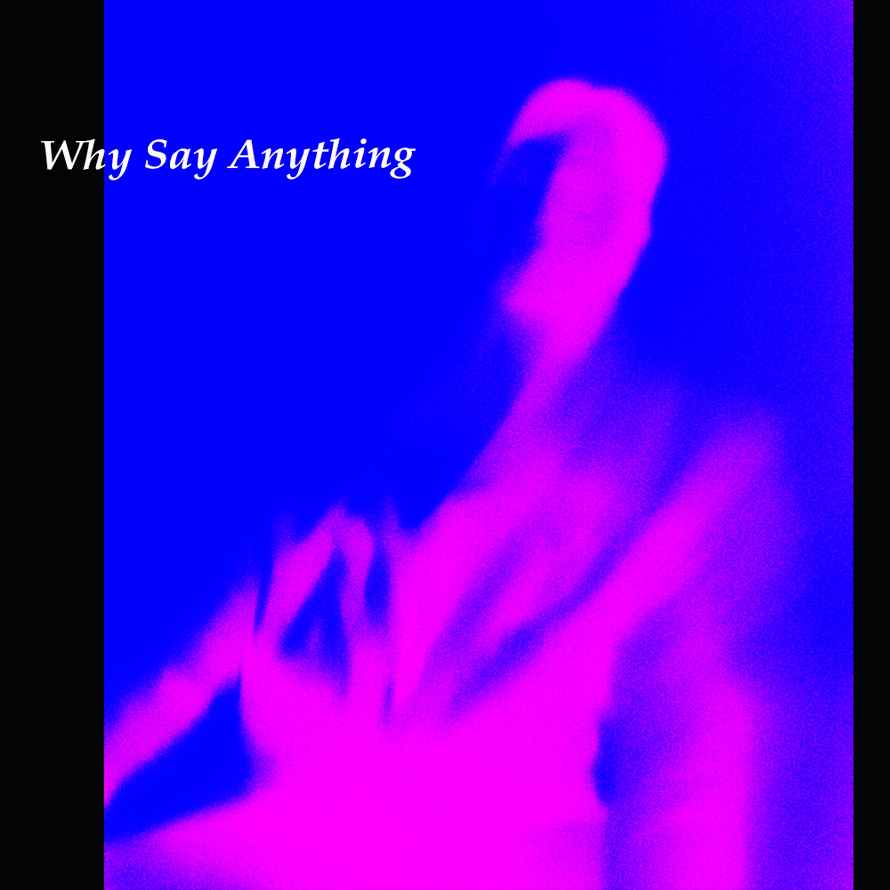 Why Say Anything - Single