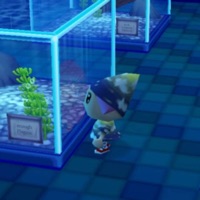 enough - Single - Plxg1ns