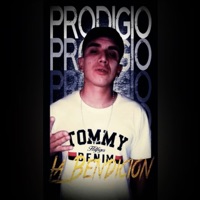 sholuwou. loyal flame 0018 (feat. sholuwou) - Single - ARSEMAN