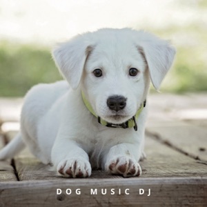 Calming Music For Dogs