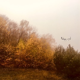 Dear To Me Mookigang & po9t