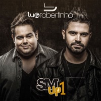 Sertanejo Mashup 1 - Lu & Robertinho