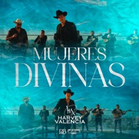 Mujeres Divinas - Single - Harvey Valencia