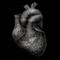 Kevlar Heart (feat. KayCyy Pluto) - Single - PRESD