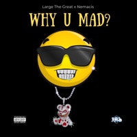 Why You Mad - Single - Large the Great