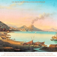J.S. Bach: Air On The G String, Violin Concerto in A Minor and Oboe Adagio - Pachelbel: Canon in D Major - Albinoni: Adagio in G Minor - Rinaldi: Works for String Orchestra - Vivaldi: Cello Concerto, Concerto Alla Rustica & Oboe Concerto (2026 Remaster) - Walter Rinaldi & J.S. Bach Orchestra