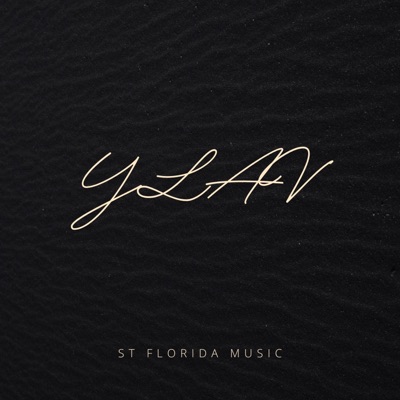 YLAV (feat. ALL'N) - Single