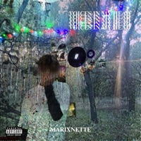VOICES IN MY HEAD - Single - marixnette