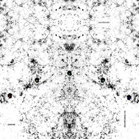 ground swell (feat. Grant Calvin Weston, Lee Clarke & Max Ilan Hoenig) - Single - Paul Giess