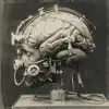 Artichoke FM - Janus Complex