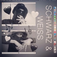 SCHWARZ & WEISS - Single - BIGBAX