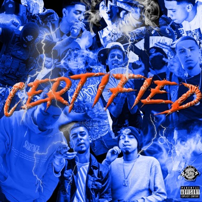 Certified : Lost In Da System