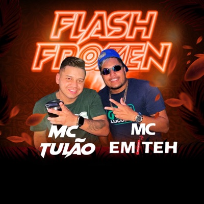 Flash Frozen (feat. MC Tulão) - Single