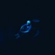 Paralyzed BLUE Single