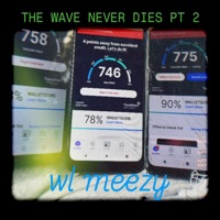 THE WAVE NEVER DIES Pt. 2 - Single - WL MEEZY