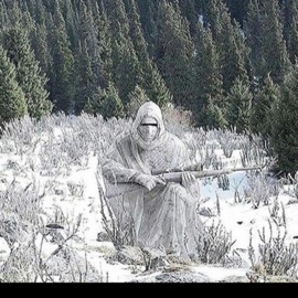 rightnexttome Sumine