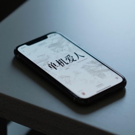 单机爱人 菜圆圆