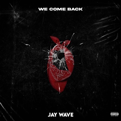 We Come Back - Single