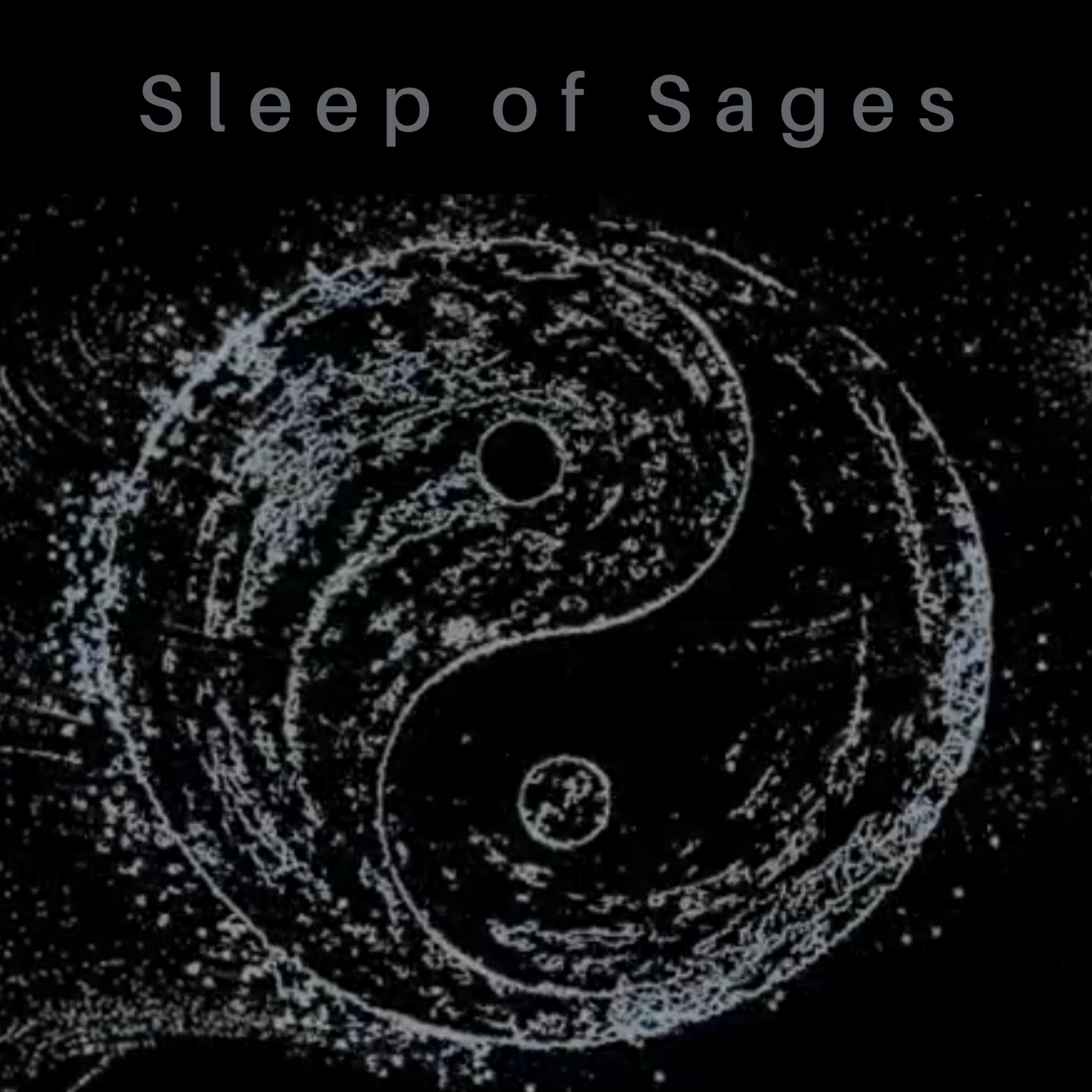 Sleep of Sages (Philosophical Meditations for Rest and Relaxation), Vol. 1