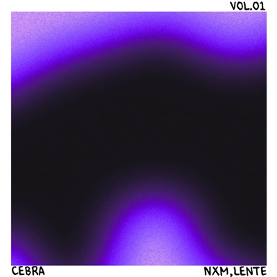 LILLA (feat. Lente) - Single