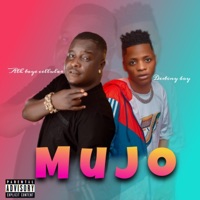 Mujo (feat. Destiny boy) - Single - Taye cellular